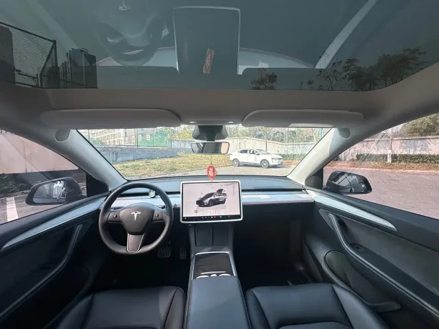 Tesla Model Y — Фото автомобиля 9