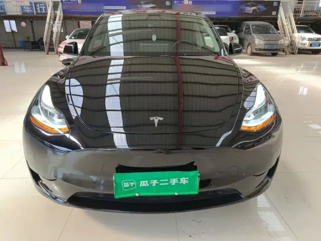Tesla Model Y — Фото автомобиля 2