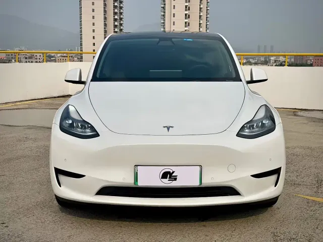 Tesla Model Y — Фото автомобиля 2