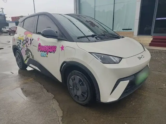 BYD Seagull 2024 Glory Edition 305km Vitality Edition — Фото автомобиля 3