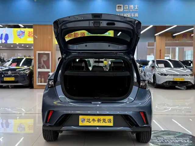 BYD Dolphin — Фото автомобиля 7
