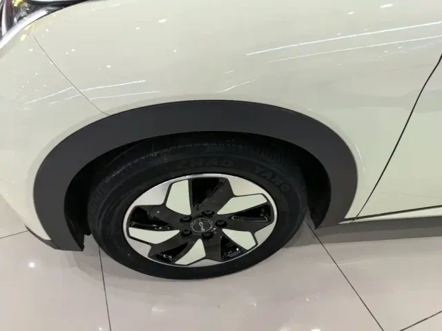 BYD Dolphin — Фото автомобиля 22