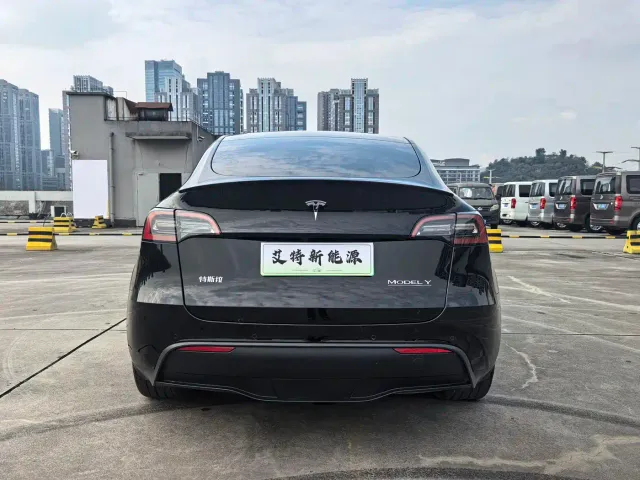 Tesla Model Y — Фото автомобиля 4