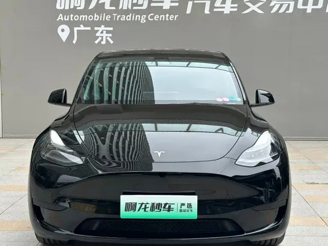Tesla Model Y — Фото автомобиля 2