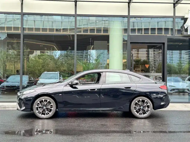 BMW 2 Series — Фото автомобиля 6