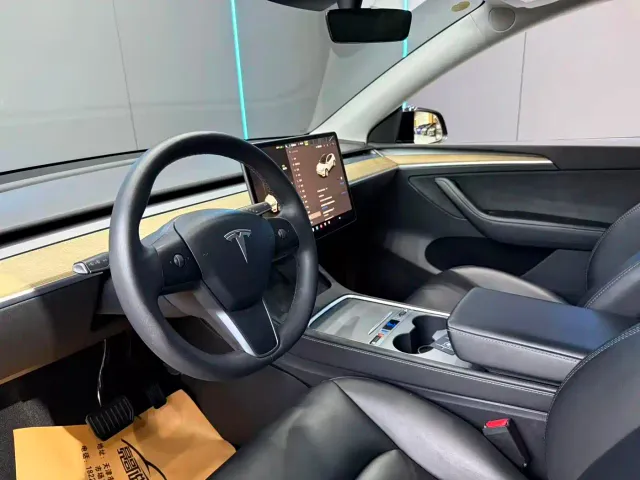 Tesla Model Y — Фото автомобиля 11