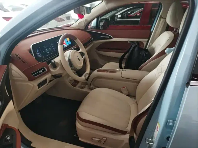Ora Ora Good Cat 2023 401km Standard Range Premium LFP — Фото автомобиля 14