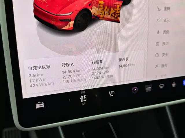 Tesla Model Y — Фото автомобиля 14