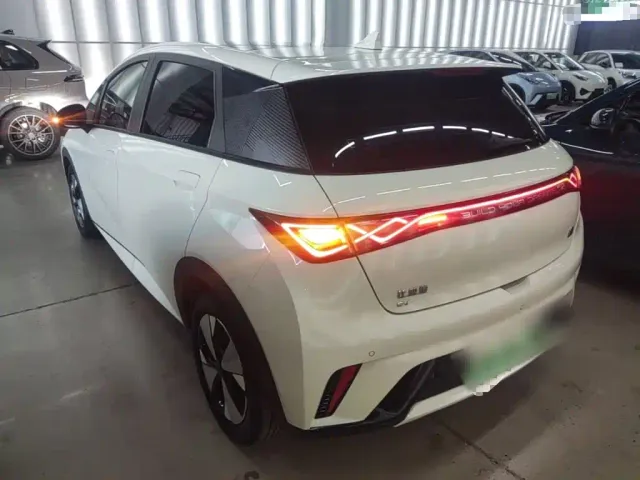 BYD Dolphin — Фото автомобиля 4