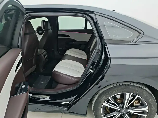 Hongqi EH7 — Фото автомобиля 12