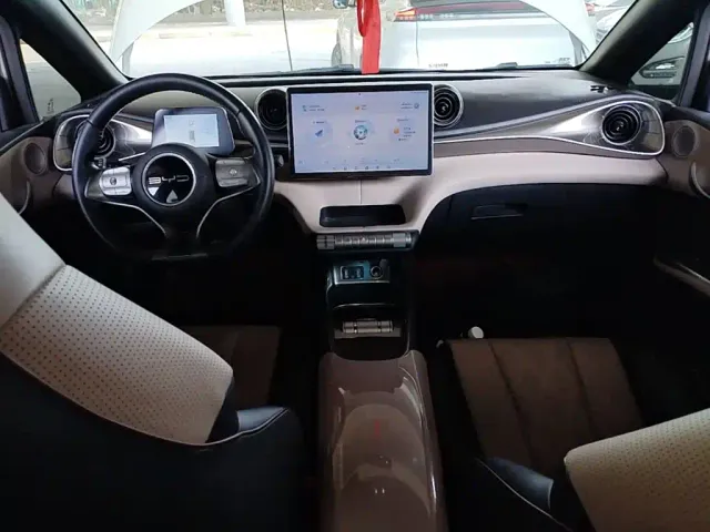 BYD Dolphin — Фото автомобиля 9
