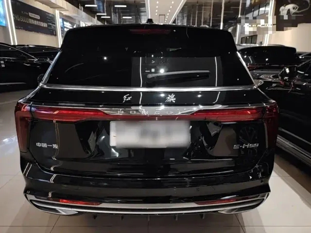 Hongqi E-HS9 — Фото автомобиля 5