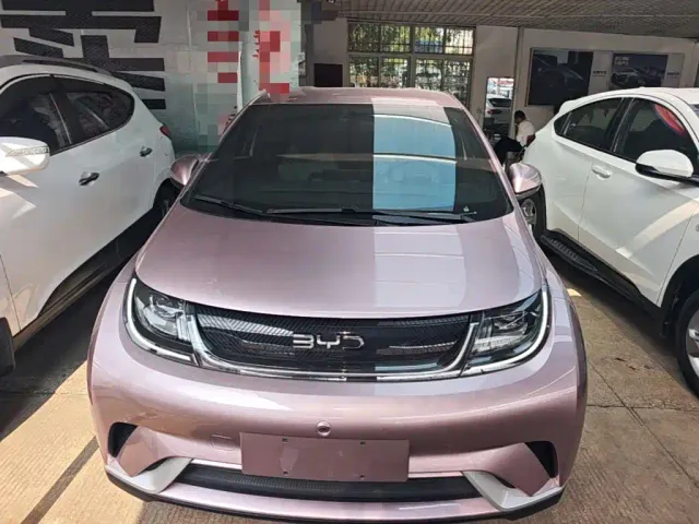 BYD Dolphin — Фото автомобиля 2