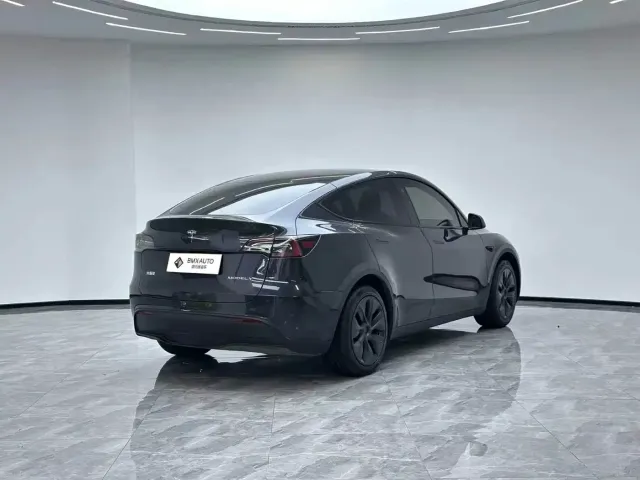 Tesla Model Y — Фото автомобиля 6