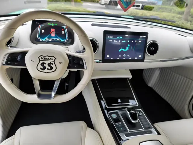 SONGSAN MOTORS SS DOLPHIN — Фото автомобиля 10
