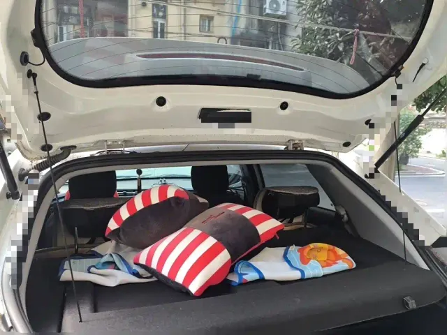 Chery Tiggo 3x — Фото автомобиля 15