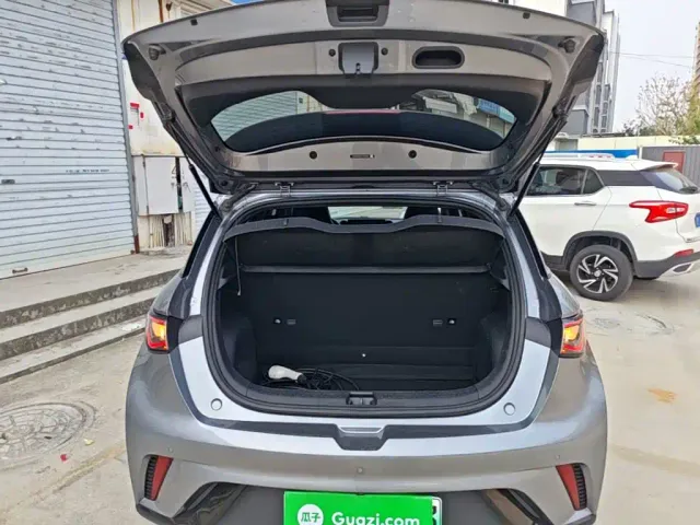 BYD Dolphin 2024 Glory Edition 420km Freedom Edition — Фото автомобиля 18