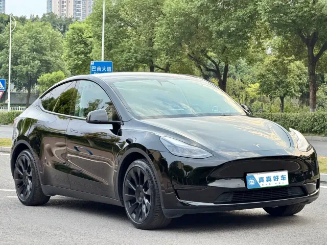 Tesla Model Y — Фото автомобиля 3