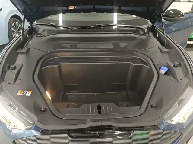 Ford Mustang Mach-E — Фото автомобиля 19