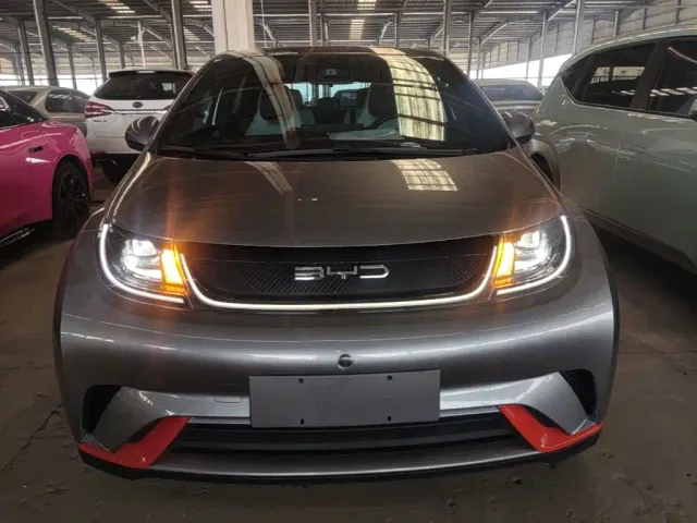 BYD Dolphin — Фото автомобиля 2