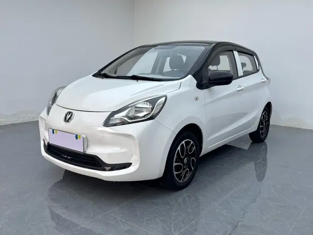 Фотография автомобиля — Changan Benben E-Star