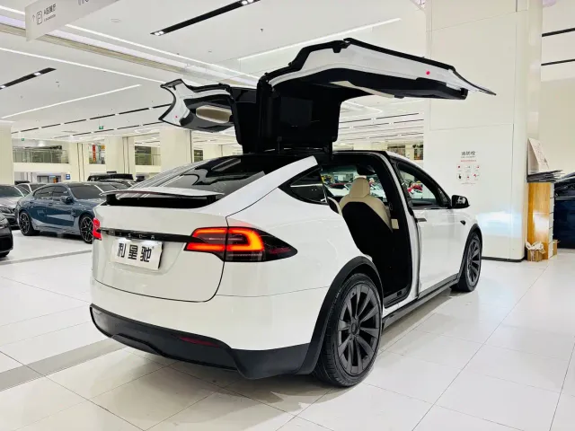 Tesla Model X 2023 Dual Motor All-Wheel Drive Edition — Фото автомобиля 4