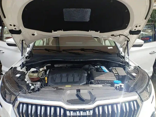 Skoda Kodiaq — Фото автомобиля 19
