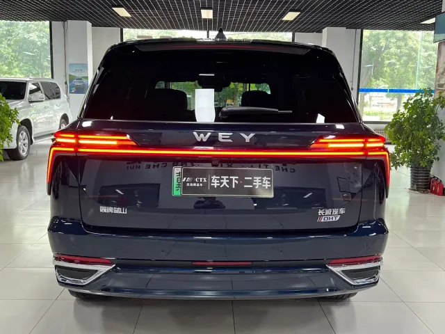 Wey Lanshan — Фото автомобиля 5