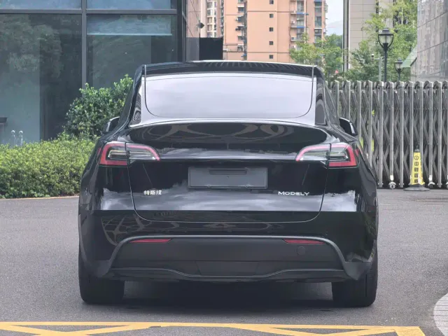 Tesla Model Y — Фото автомобиля 3