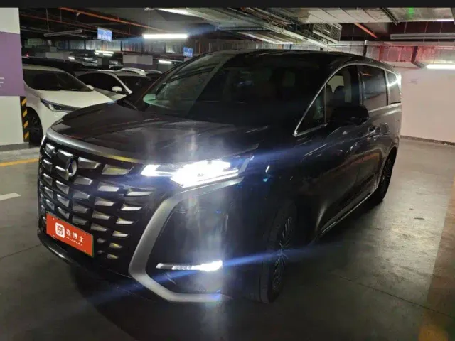 Denza Denza D9 2024 DM-i 980 AWD Premium — Фото автомобиля 6