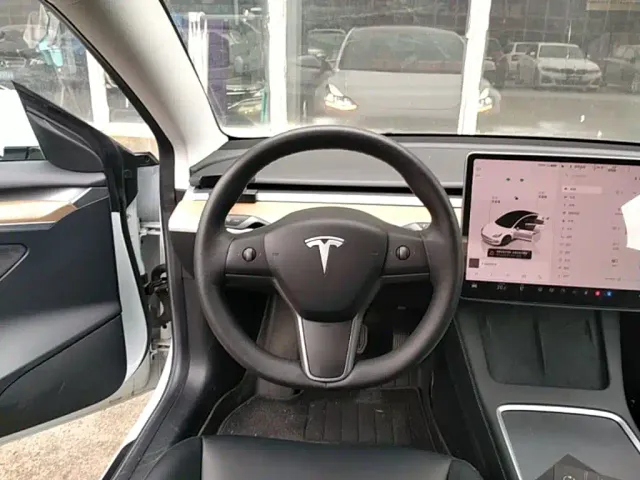 Tesla Model 3 — Фото автомобиля 10