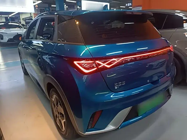 BYD Dolphin — Фото автомобиля 4