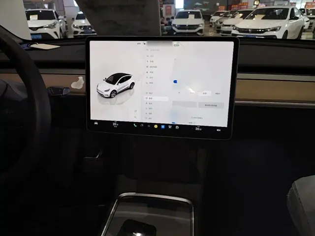Tesla Model Y — Фото автомобиля 9