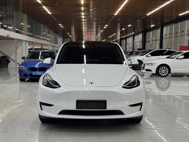 Tesla Model Y — Фото автомобиля 2