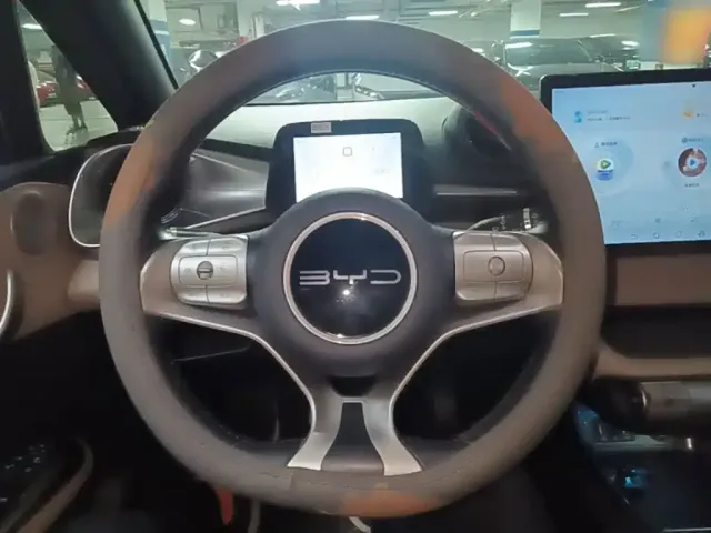 BYD Dolphin — Фото автомобиля 10