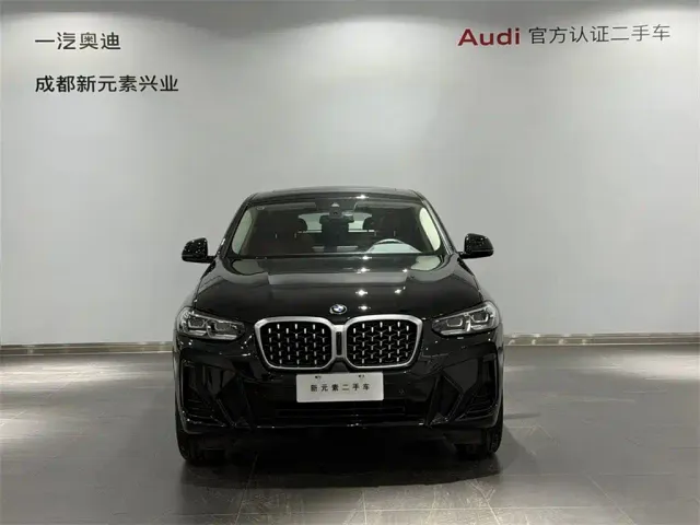 BMW X4 — Фото автомобиля 2