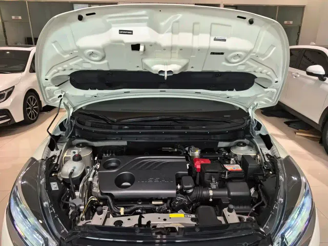 Nissan Kicks — Фото автомобиля 17