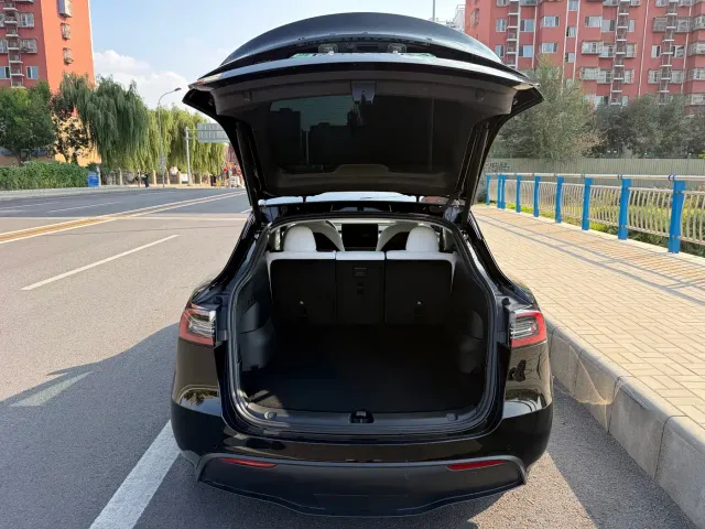 Tesla Model Y — Фото автомобиля 14