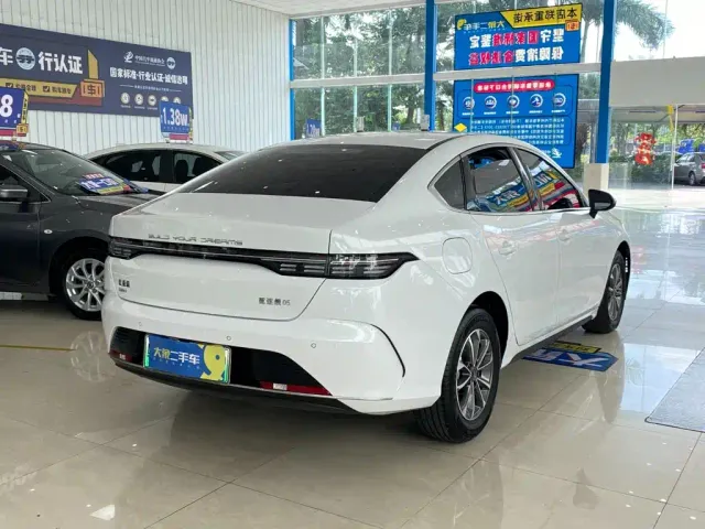 BYD Destroyer 05 — Фото автомобиля 13