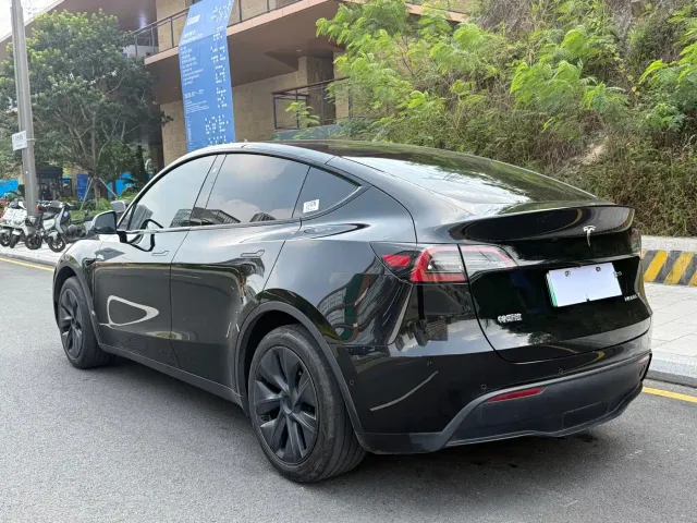 Tesla Model Y — Фото автомобиля 11