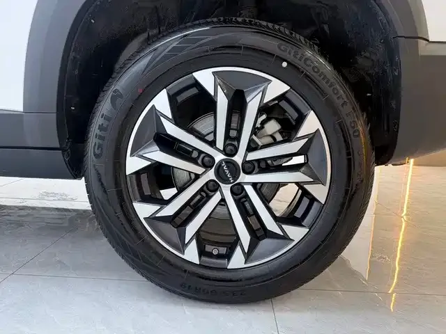 Haval Big Dog — Фото автомобиля 9