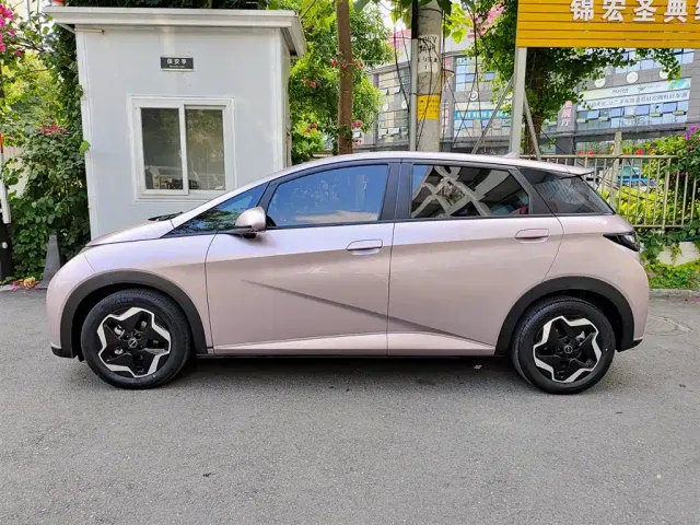 BYD Dolphin — Фото автомобиля 3