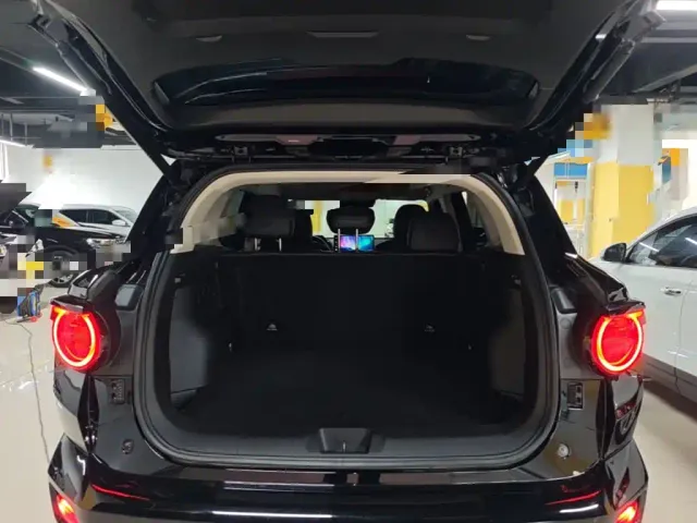 Haval Big Dog — Фото автомобиля 18