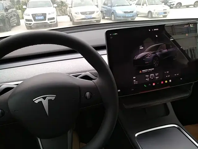 Tesla Model Y — Фото автомобиля 9