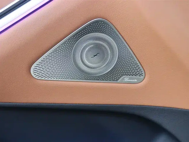 Mercedes-Benz S-Class — Фото автомобиля 19
