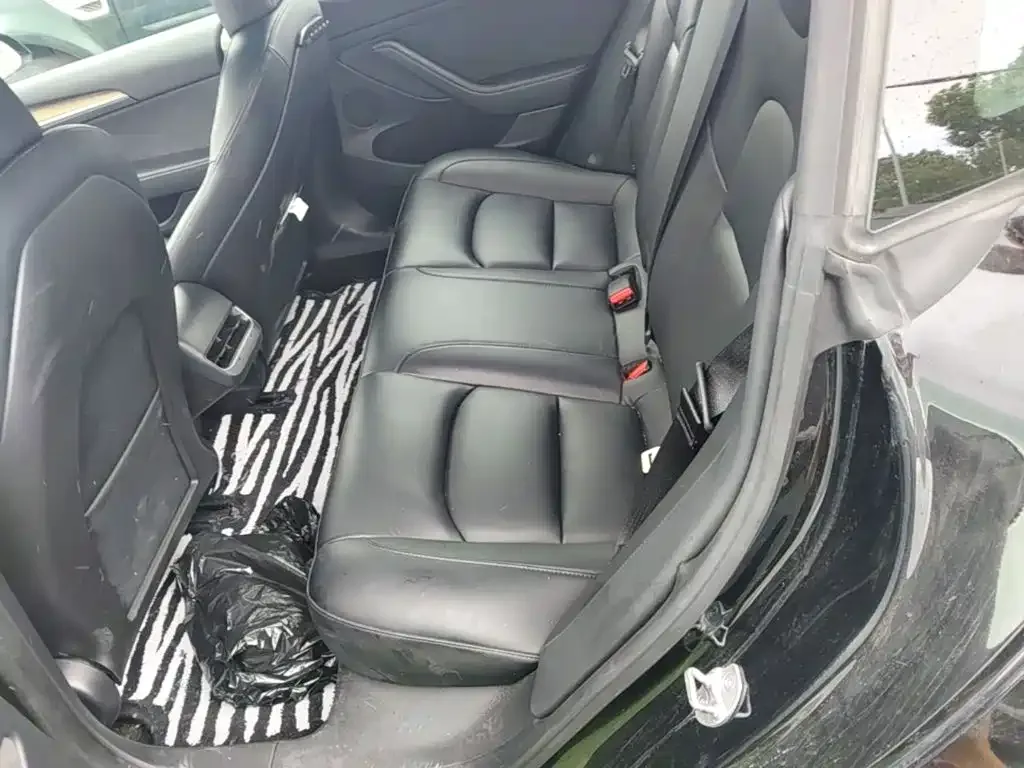 Tesla Model 3 2021 Standard Range Rear-Wheel Drive Upgrade 3D6 — Фото автомобиля 12