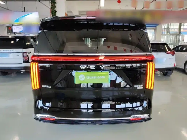 WEY WEY Alpine 2023 AWD Executive Long Wheelbase — Фото автомобиля 5