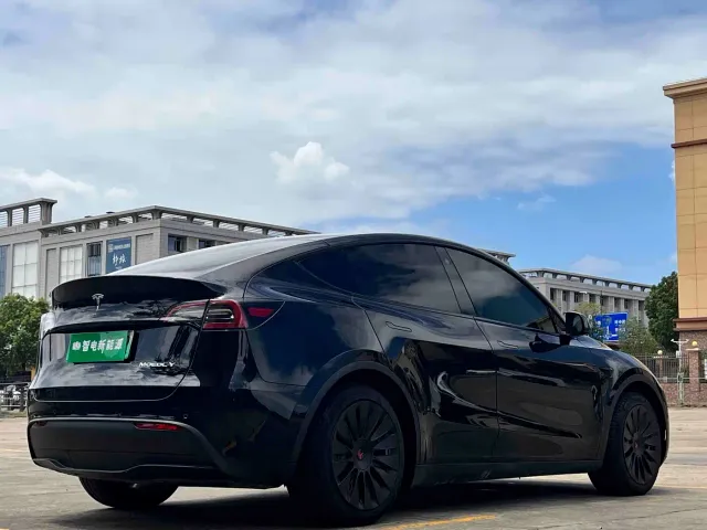 Tesla Model Y — Фото автомобиля 10
