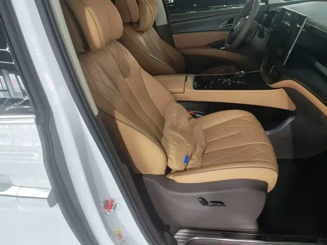 Denza Denza D9 2022 DM-i 970 AWD Flagship — Фото автомобиля 24