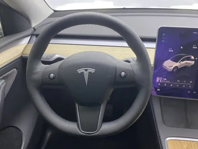 Tesla Model Y — Фото автомобиля 14